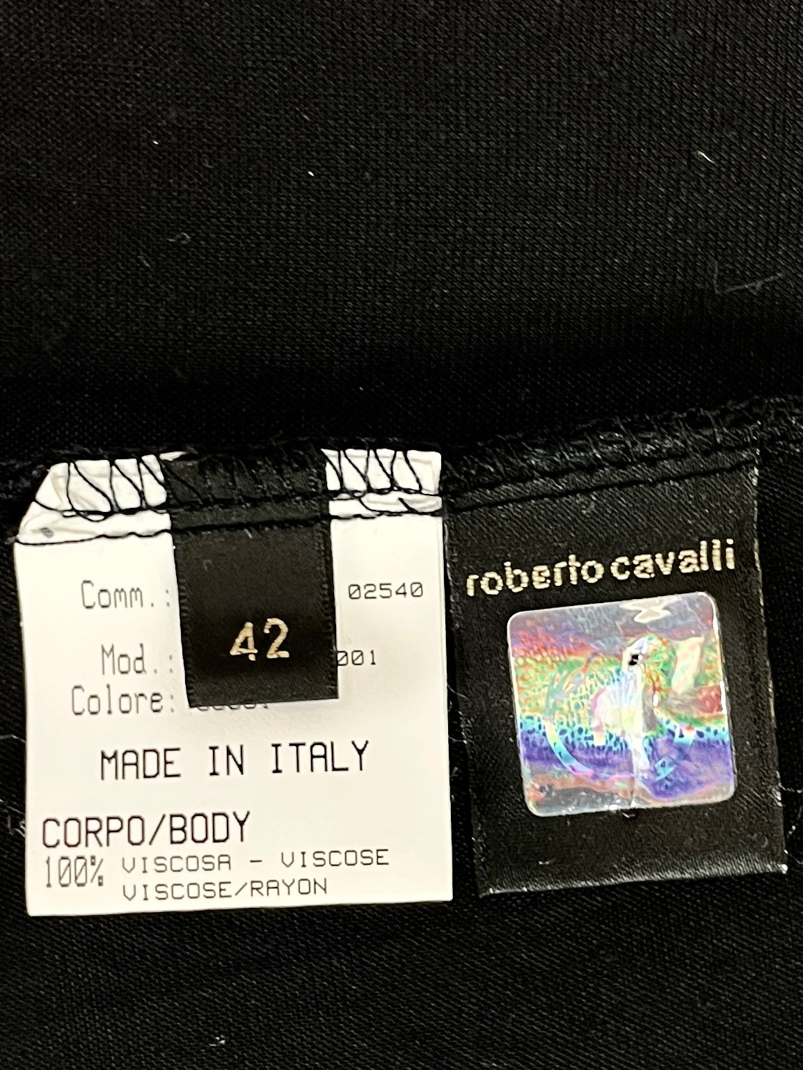 Roberto Cavalli Fall 2005 Draped Jersey Gown with Swarovski Crystal Panel