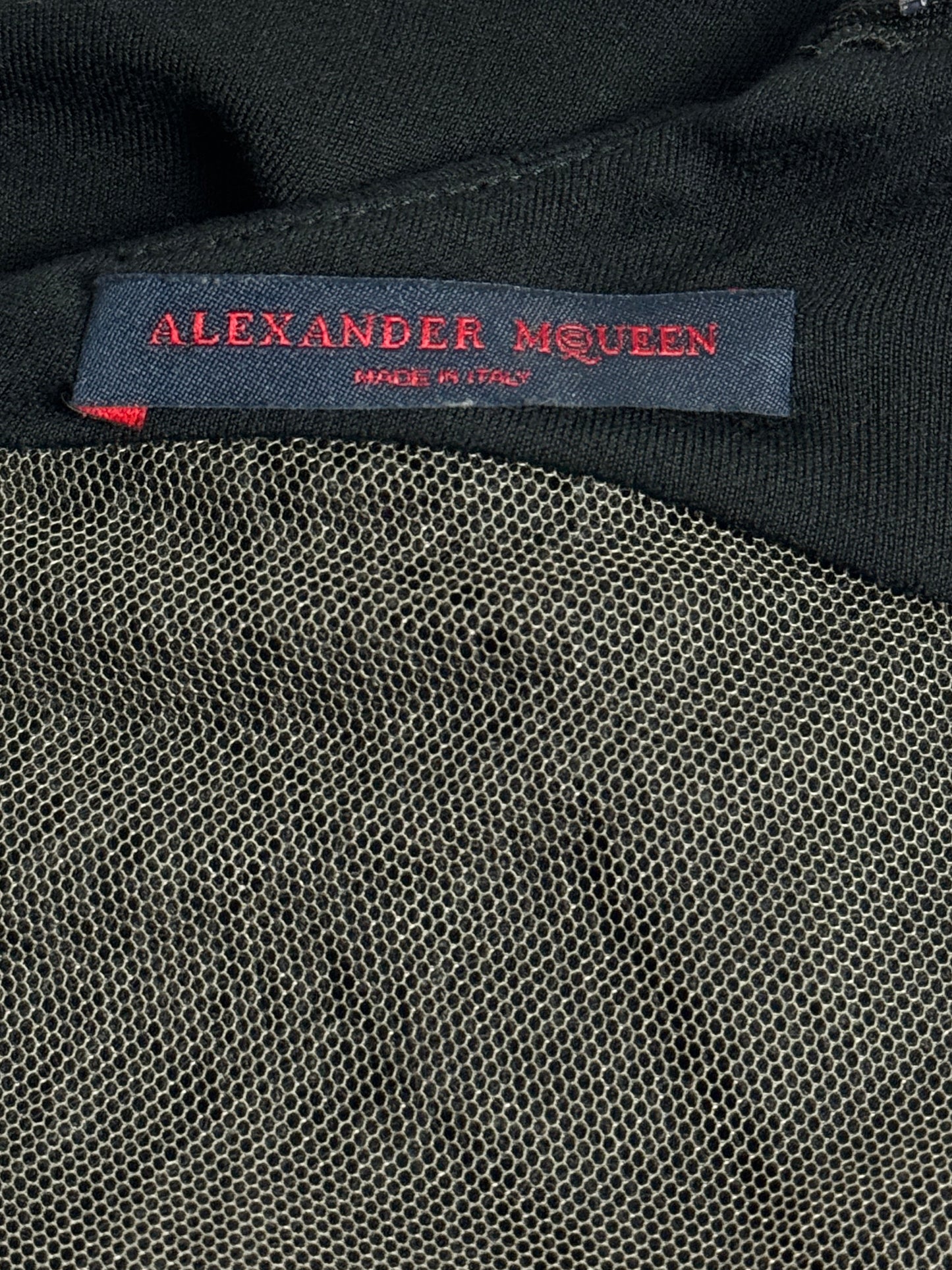 Alexander McQueen Fall 2005 Hitchcock Lace Back Jersey Dress