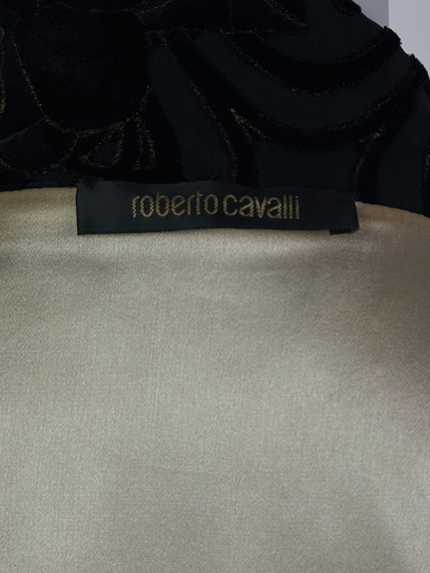 Roberto Cavalli Fall 2006 Velvet Coat / Dress
with Silk Lining