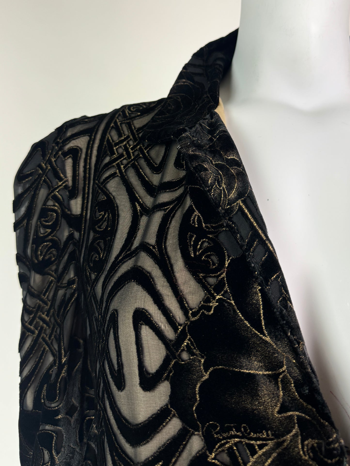 Roberto Cavalli Fall 2006 Velvet Coat / Dress
with Silk Lining