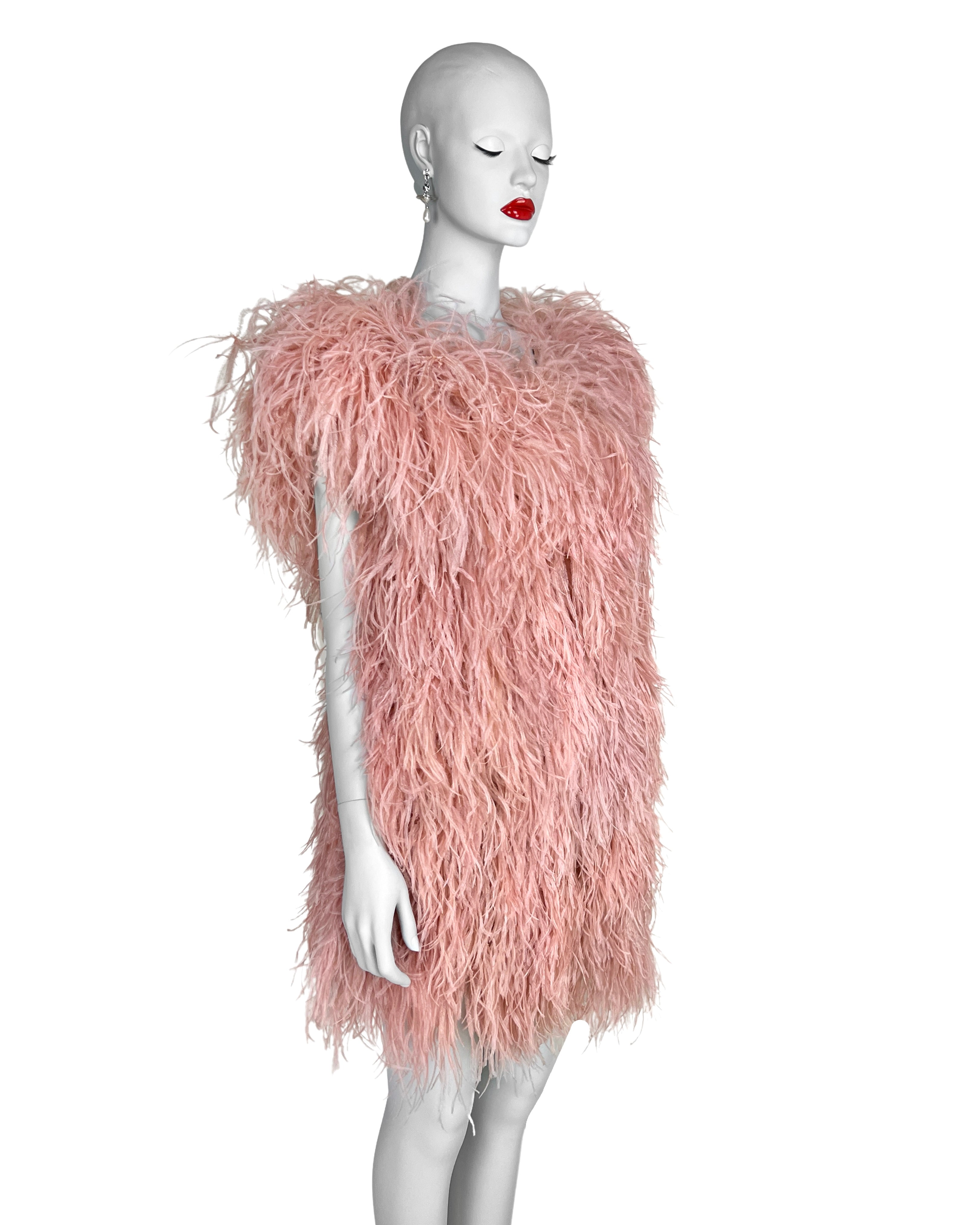 Sonia Rykiel Fall 2010 Ostrich Feather Dress