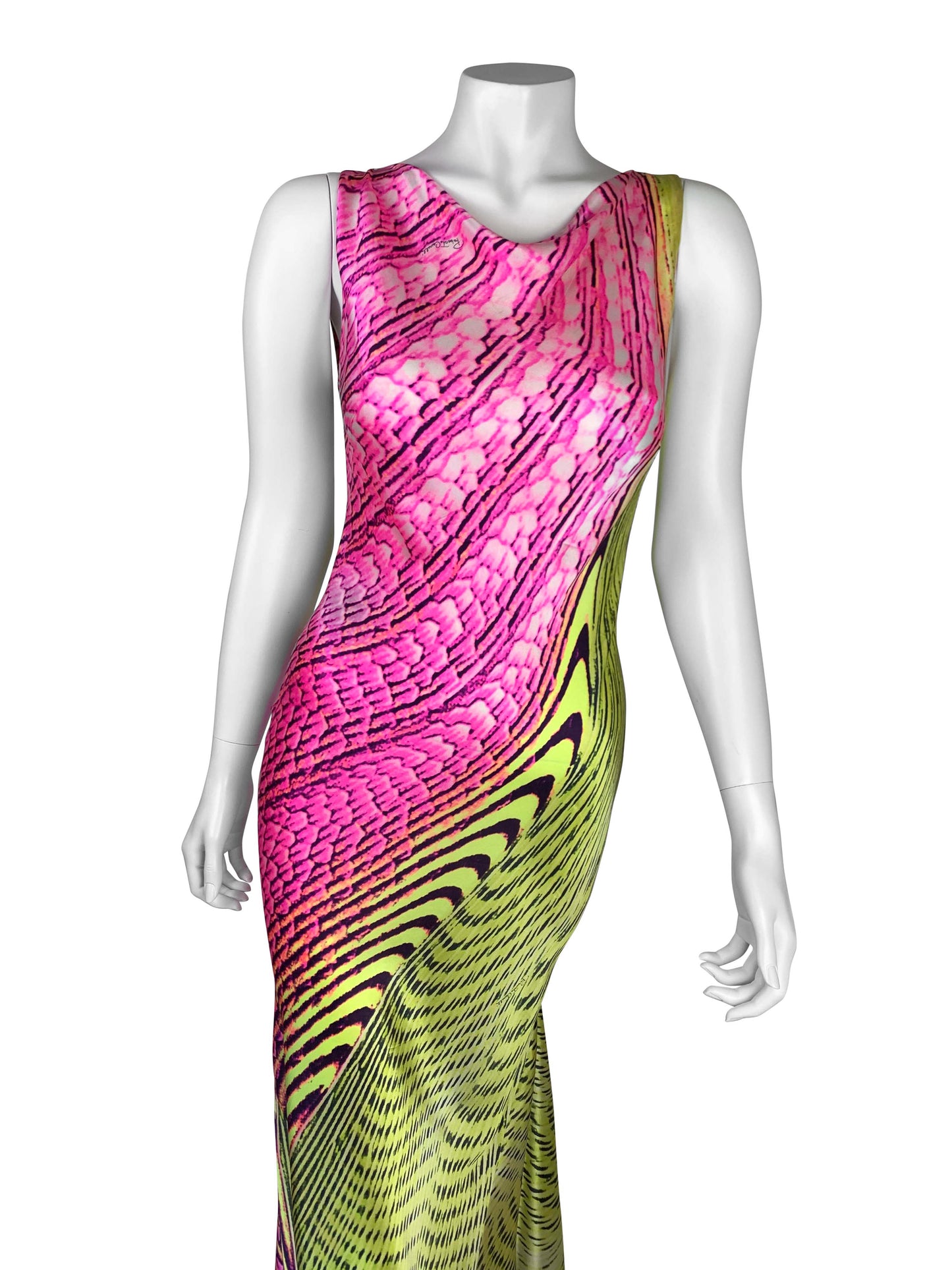 Roberto Cavalli Spring 2001 Runway Dress